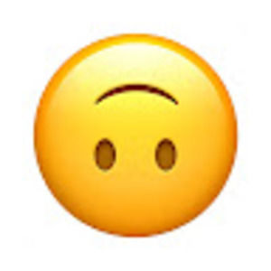 Meet your Posher, Ani